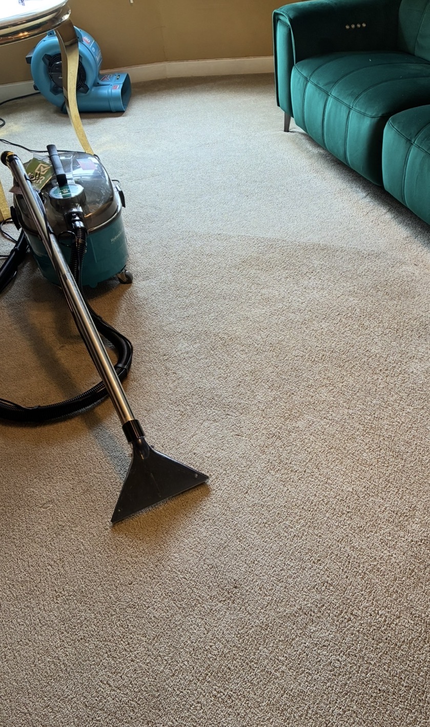 MERIT carpet-cleaning equipment in a customer's living room
