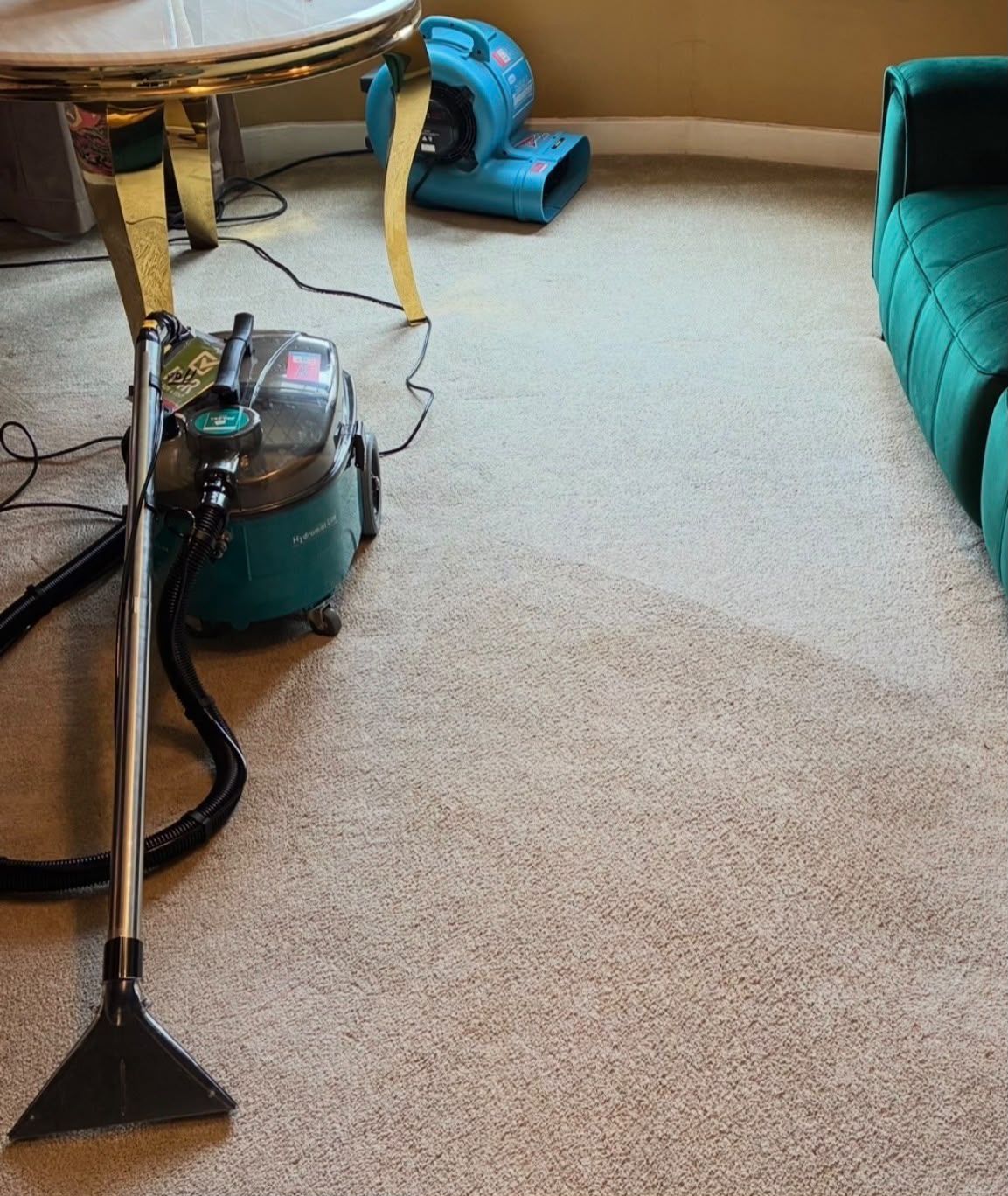 Wider view of the cream living-room carpet after cleaning, confirmed by MERIT
