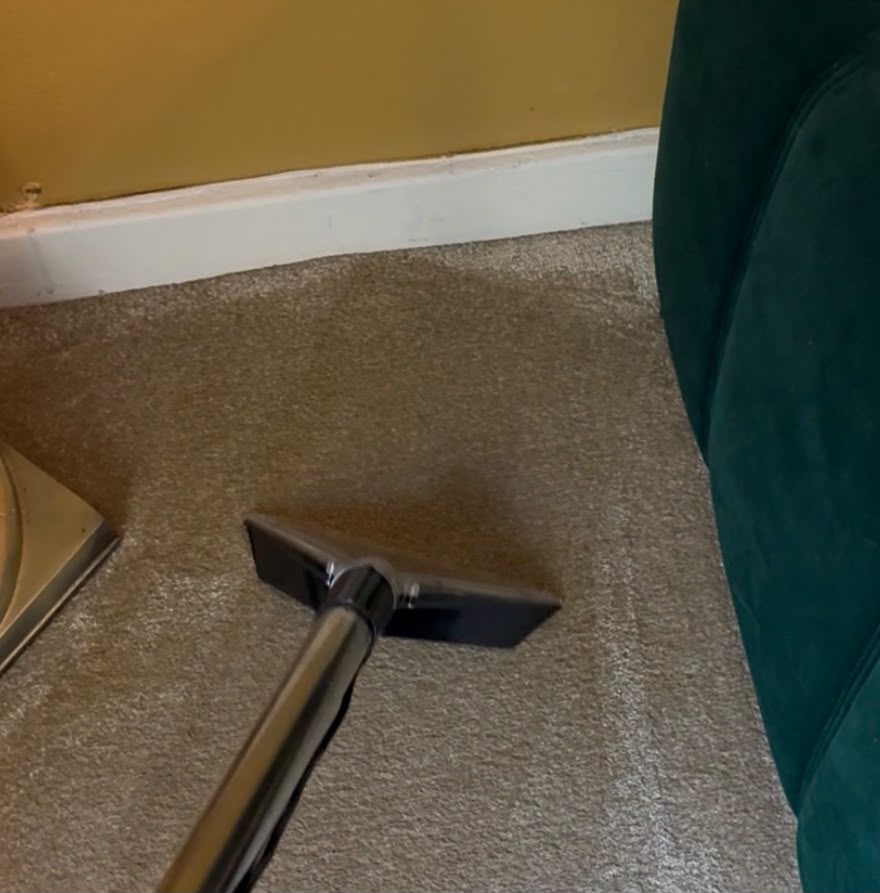 MERIT extraction wand cleaning a carpet beside a green sofa