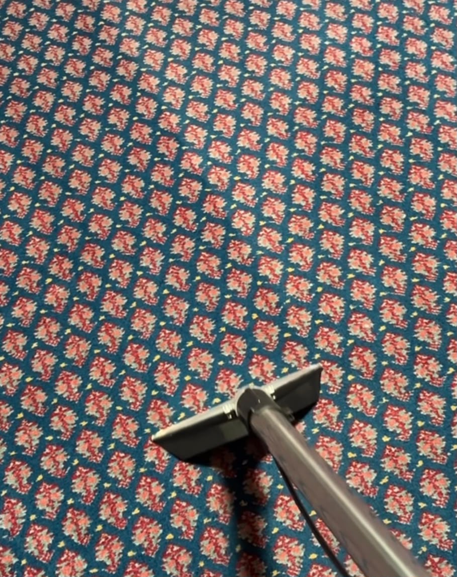 MERIT extraction wand on a blue patterned carpet